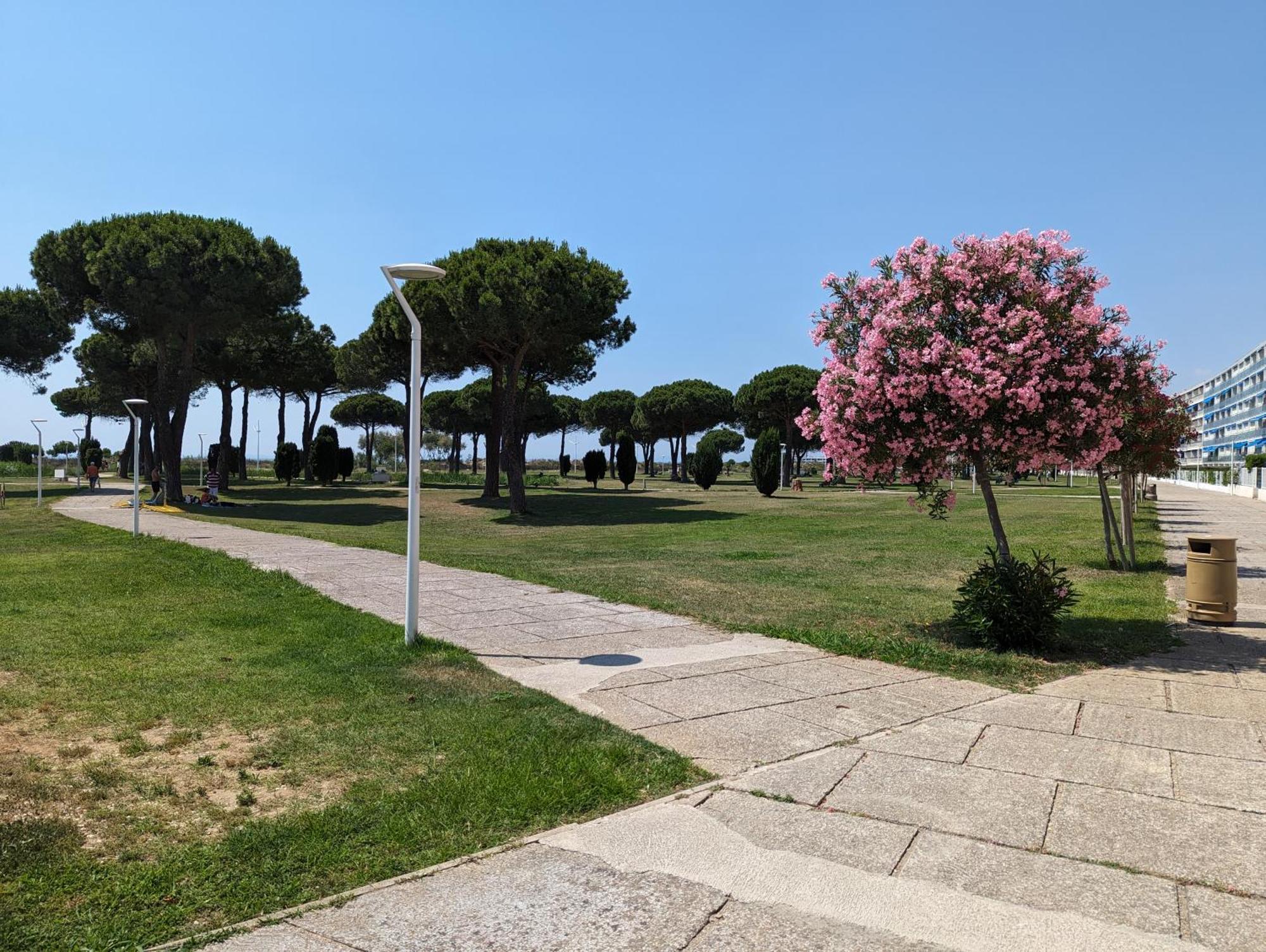 לה-גרו-דו-רואה Sol-Y-Days Mathilde, Agreable Appartement En Rez-De-Jardin Avec Parking Et Un Acces Direct A La Plage מראה חיצוני תמונה