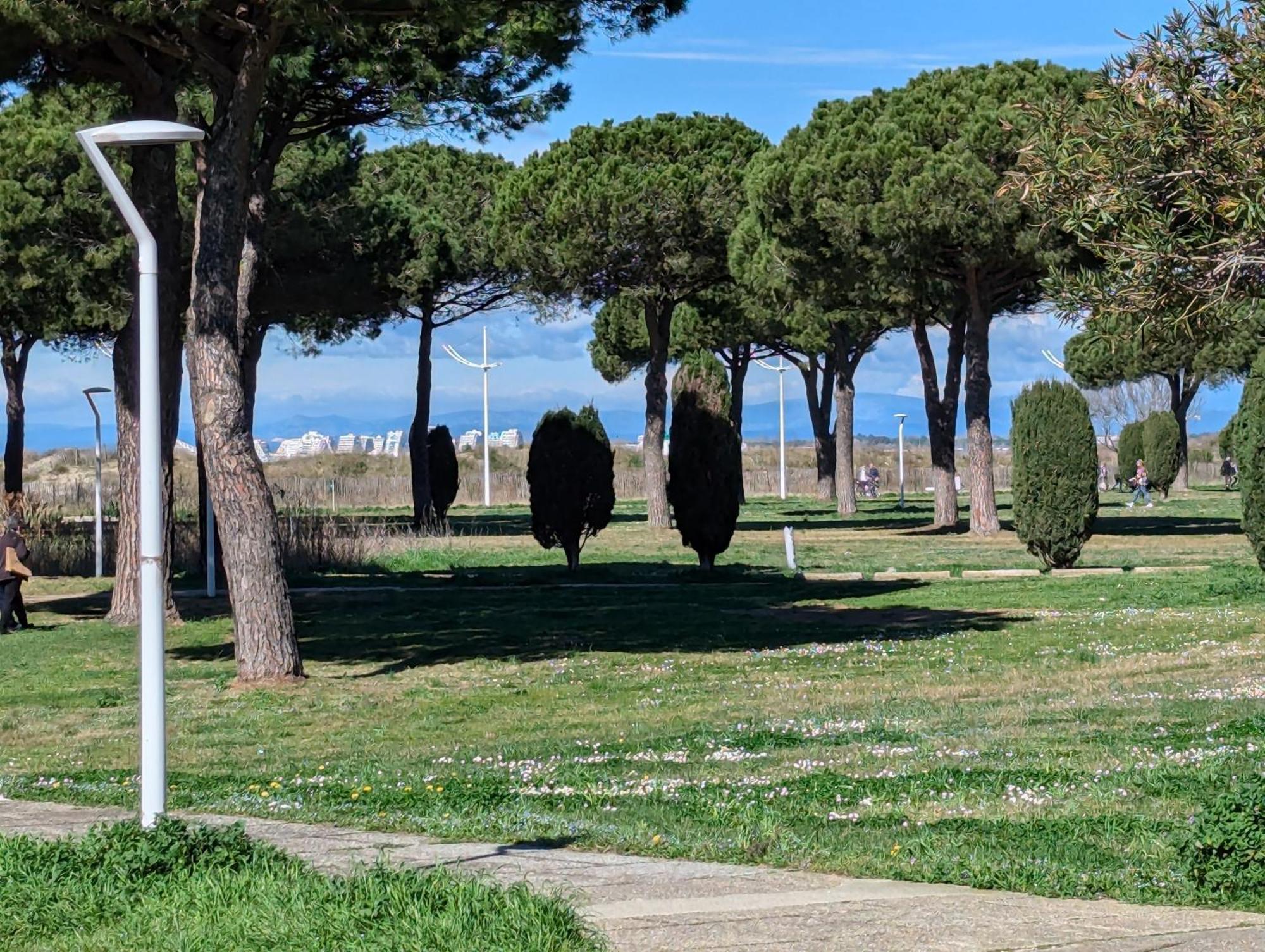 לה-גרו-דו-רואה Sol-Y-Days Mathilde, Agreable Appartement En Rez-De-Jardin Avec Parking Et Un Acces Direct A La Plage מראה חיצוני תמונה
